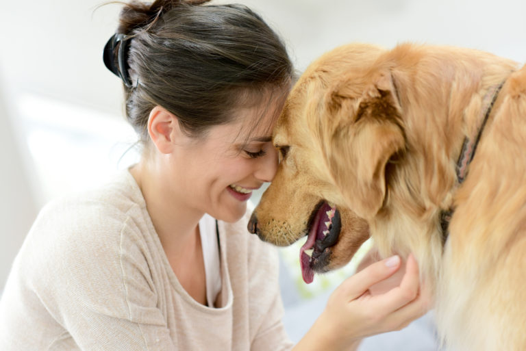 10 dinge bevor einen hund adoptieren