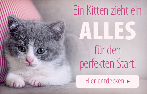 Katze 12 Wochen Durchfall