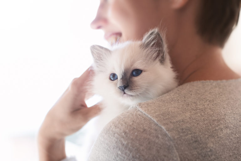 Fragen an Katzenzüchter