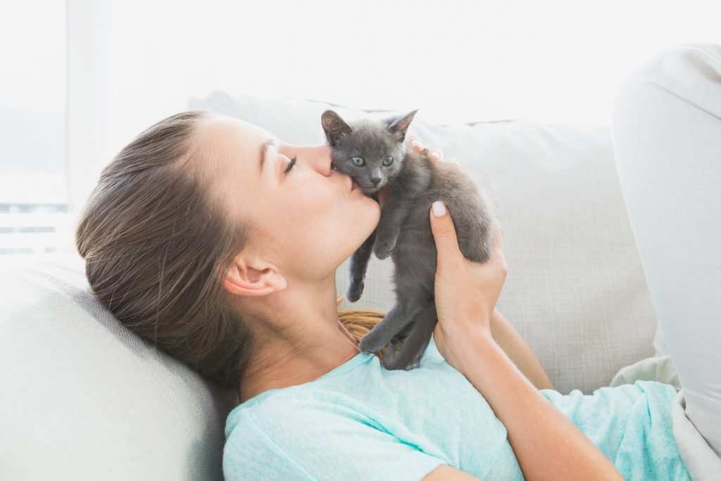 Frau schmust mit Kätzchen Frau küsst Kitten