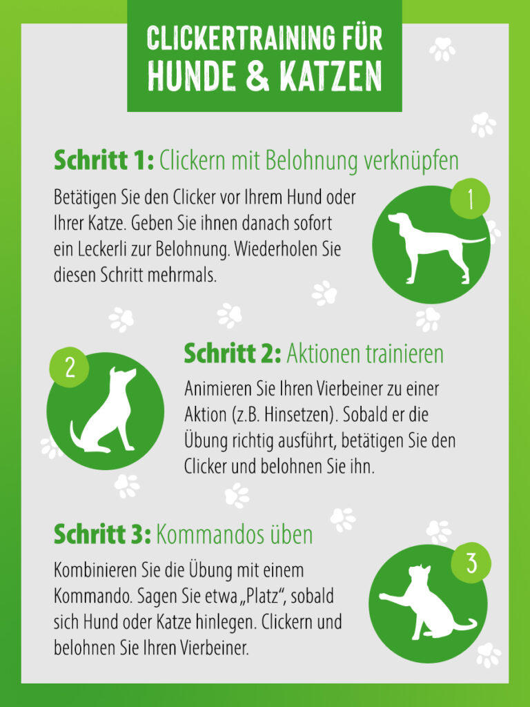 Eine Anleitung für das Clickertraining mit Hunden und Katzen Zeichnung Hund Katze Clicker