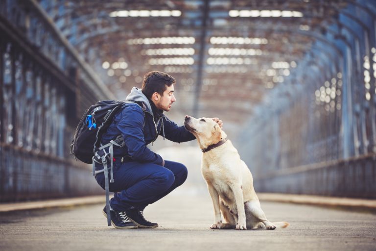 mann mit hund am bahnhof für urlaub