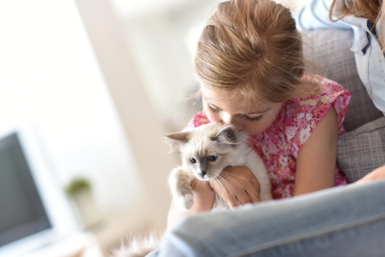 kitten mit mädchen