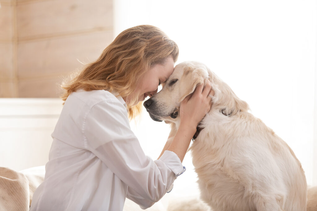 Hund mit lebererkrankung