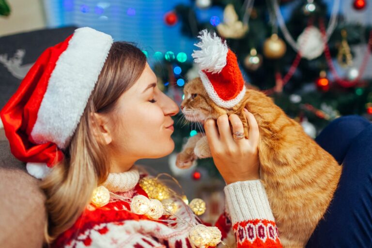 weihnachtsgeschenke für katzen