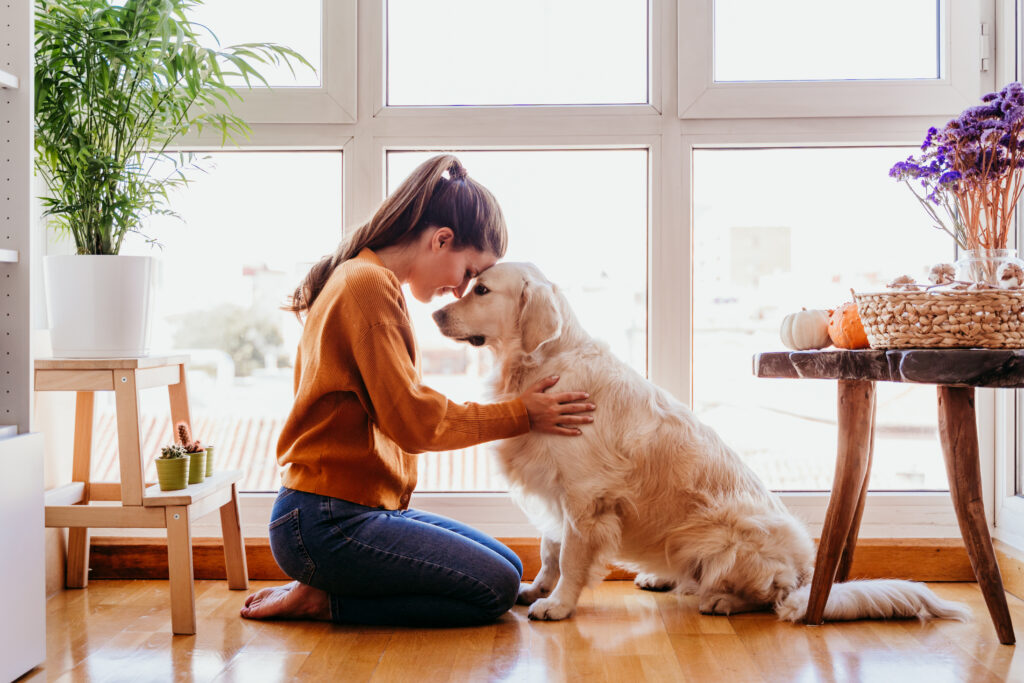 Mit dem Hund in der Quarantäne Gassi gehen? zooplus