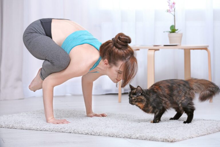 frau und katze beim yoga