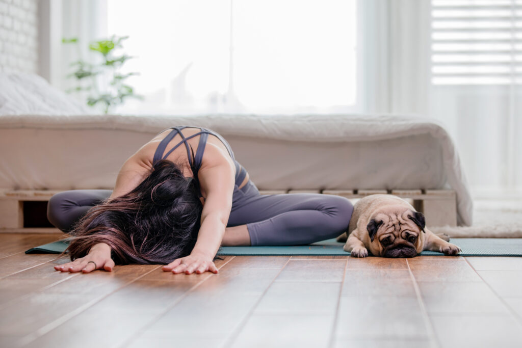 Hund macht Yoga mit seinem Frauchen