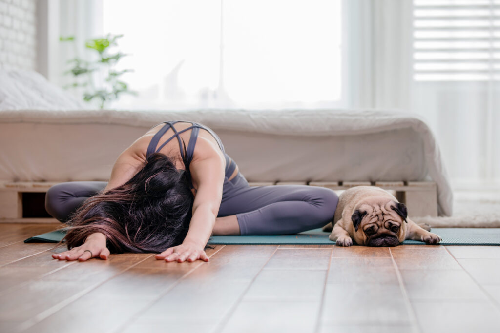 Hund macht Yoga mit seinem Frauchen Hund macht Yoga mit seinem Frauchen