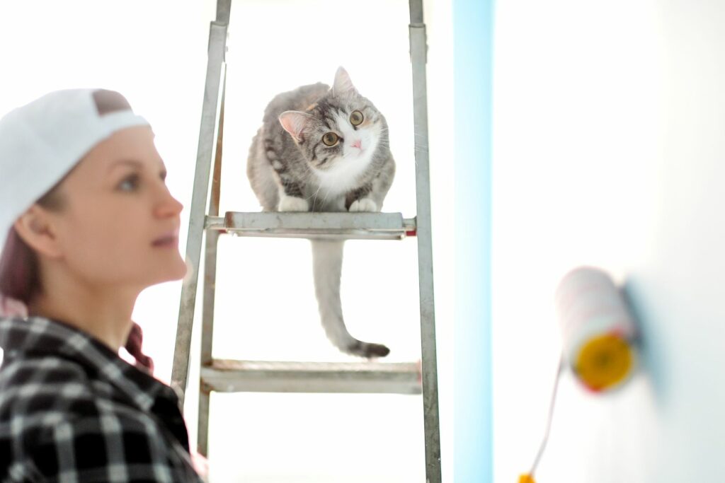 Frau streicht eine Wand und eine Katze sieht zu.