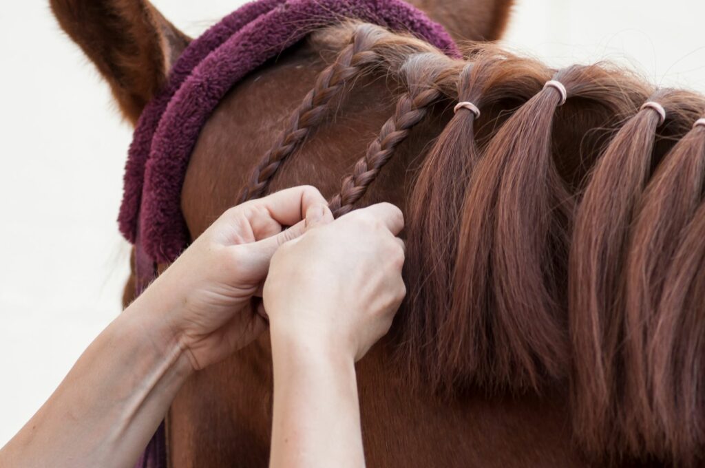 Pferd-Sommerfrisur Pferdehaare werden geflochten.