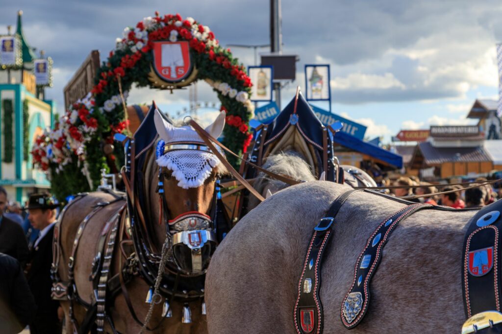 Kaltblüter ziehen die Brauereiwagen auf dem Oktoberfest