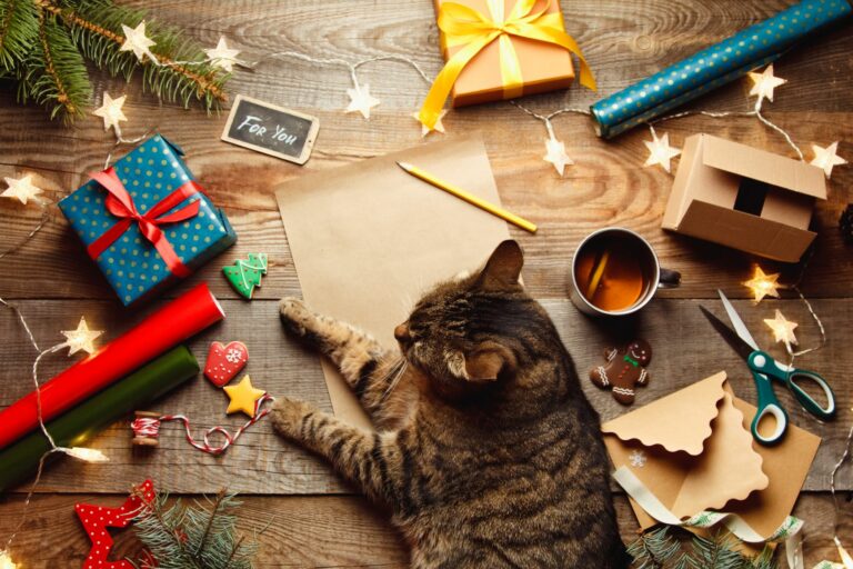 Katzen Adventskalender selbst basteln