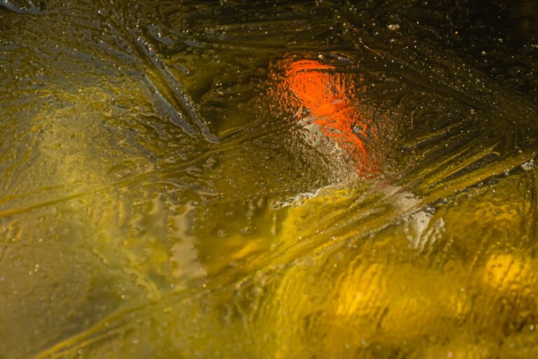 Goldfische überwintern im Gartenteich