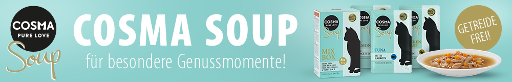 Cosma Soup 2020