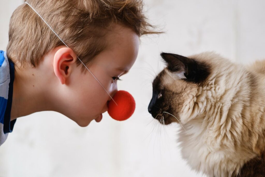 Ein Kind mit roter Clownsnase sieht eine Katze an kind mit roter nase und katze