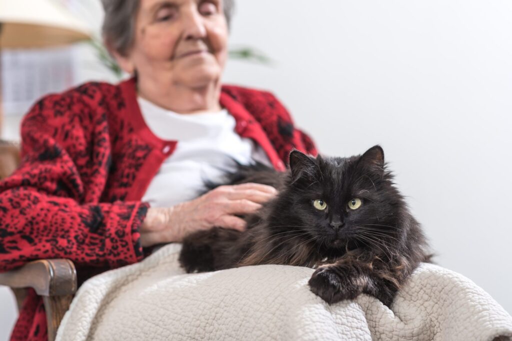 Alte Frau sitzt mit Therapiekatze auf einem Stuhl seniorin mit therapiekatze