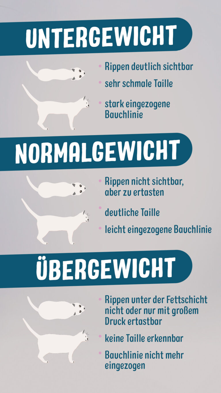 Natural Greatness Veterinärdiät Katze Fettleibigkeit Kontrolle Vollständig main image 1