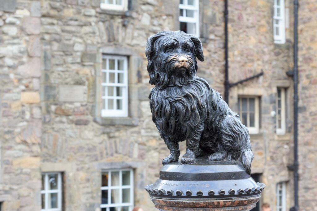 Skye Terrier: Greyfriars Bobby