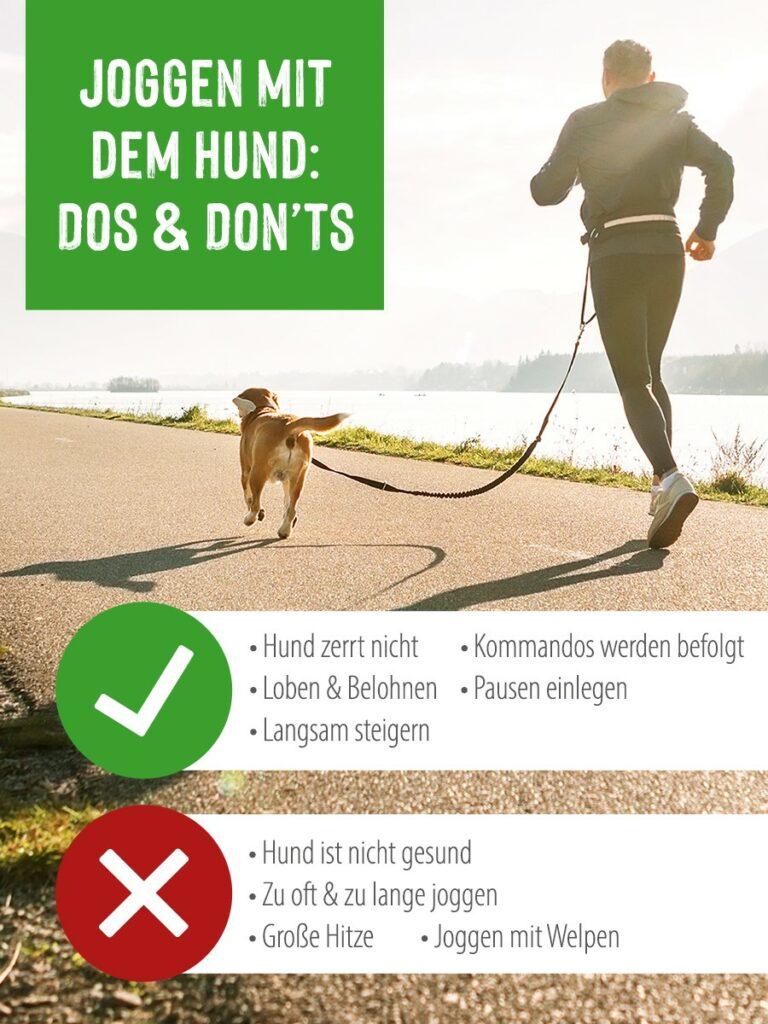 Mann joggt mit an der Leine Hund auf einer Straße Mann mit Hund Jogging Infografik