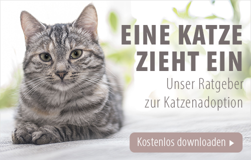 catadoptionguide_sidebanner