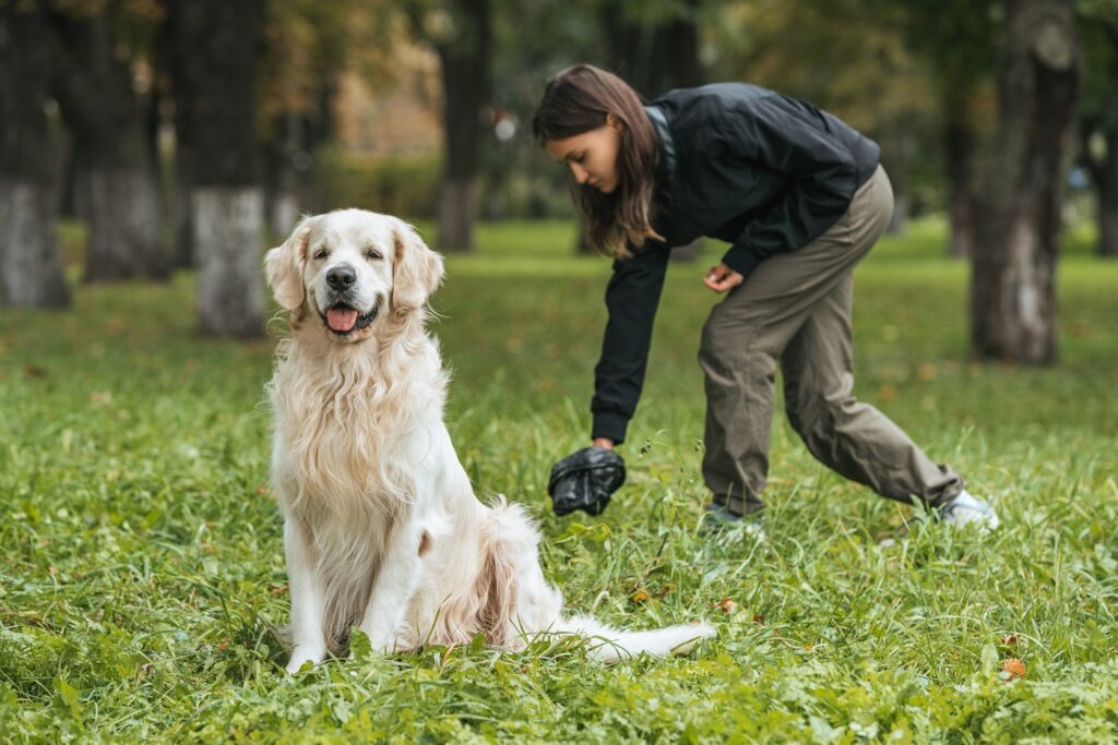 Eine Frau sammelt den Kot ihres Hundes ein frau sammelt kot von hund