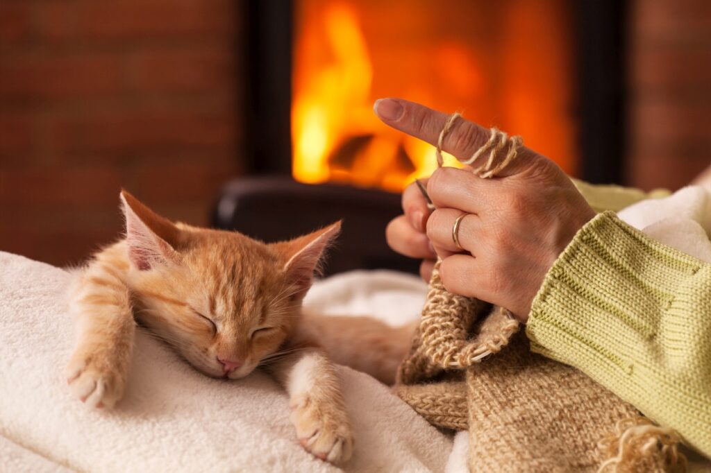 Eine Frau strickt, während ihre Katze auf ihrem Schoß schläft katze schläft auf schoß als zeichen für lieben können