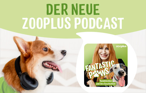 zooplus podcast fantastic paws