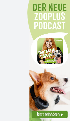 zooplus podcast fantastic paws