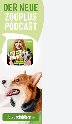 zooplus_podcast_promotion_background_right