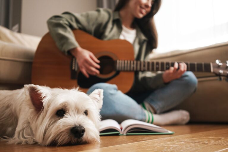 frau spielt entspannungsmusik für hund