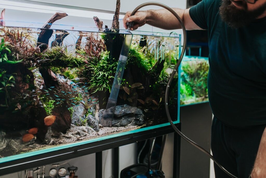 Wasserwechsel im Aquarium