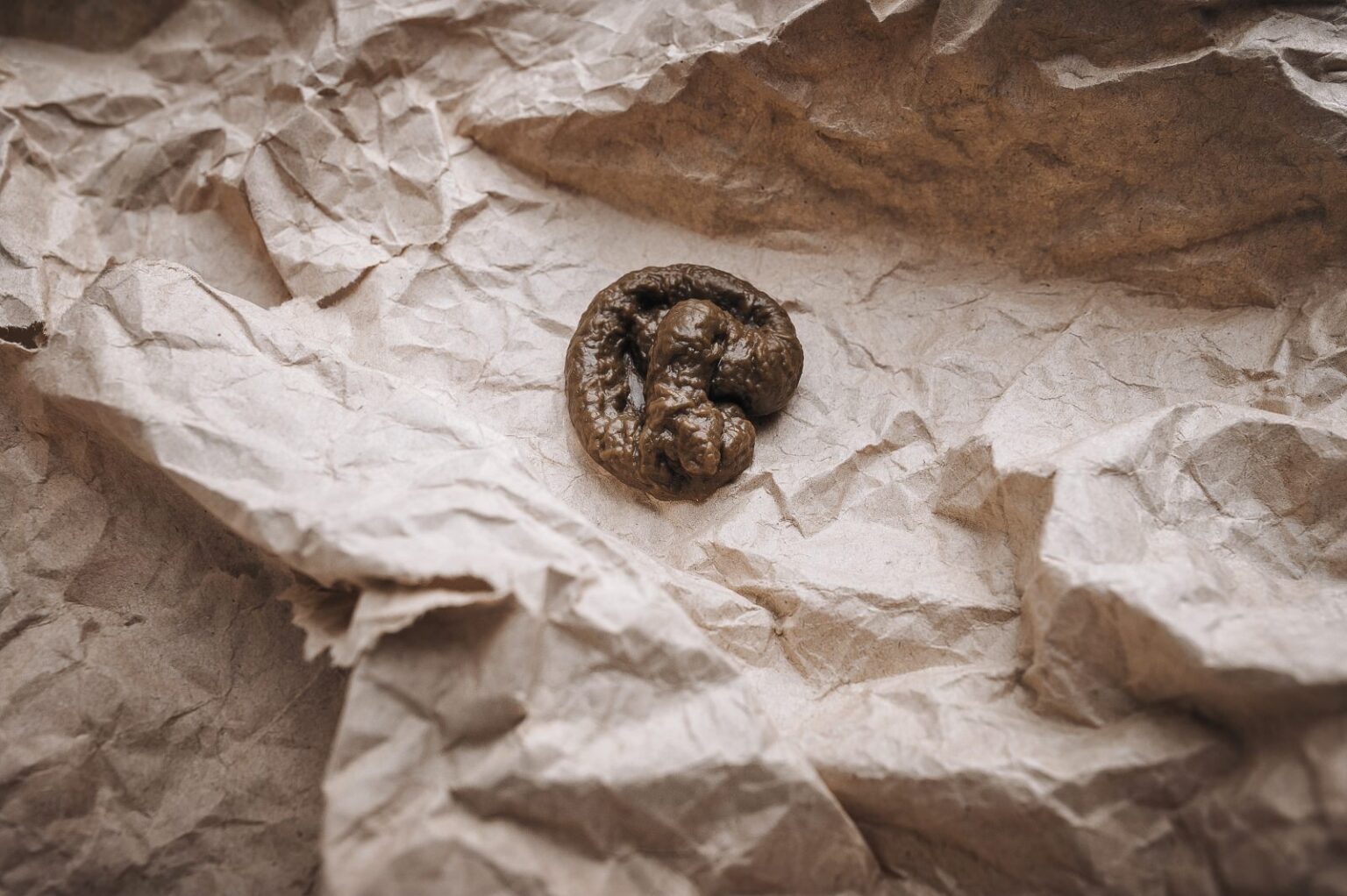 Nachhaltig leben im Alltag: Kleine Schritte, große Wirkung