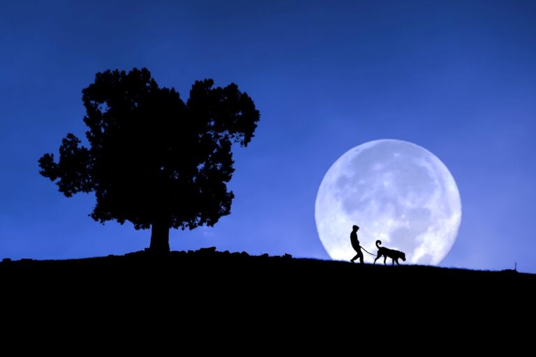 mensch und hund bei vollmond