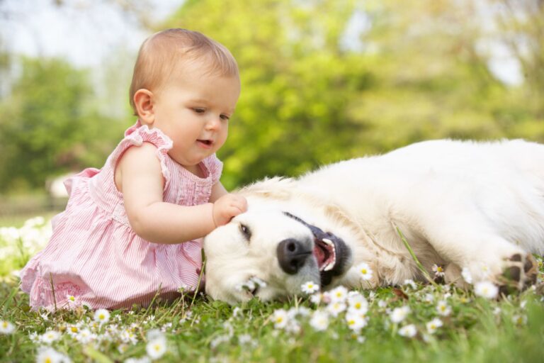 Baby und Hund