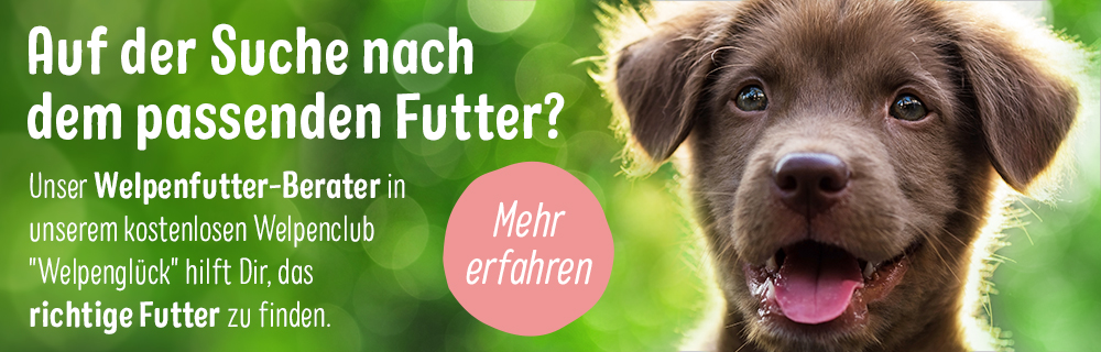 Welpenclub_Futterberater_Contentbanner