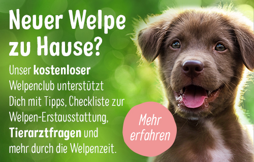 Welpenclub_Breed_Sidebanner