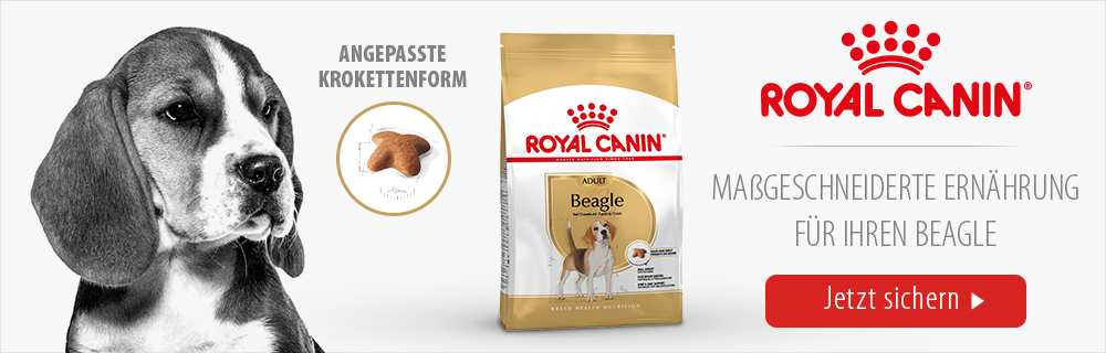 dog rc banner