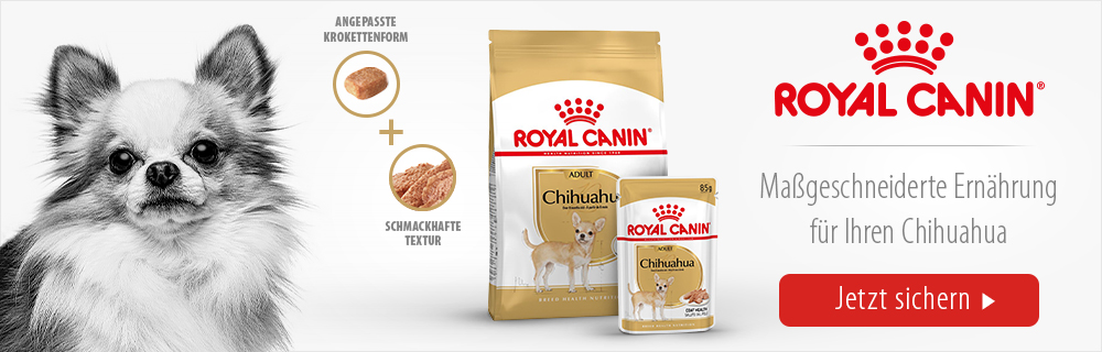 Royal_Canin_Breed_Image_MagazineChihuahua