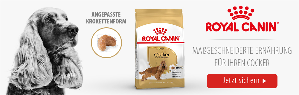 Royal Canin Cocker Adult Trockenfutter für Cocker Spaniel