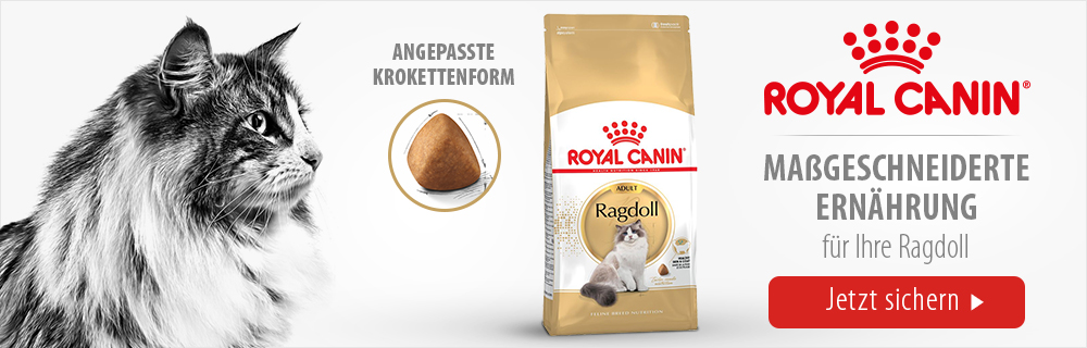 Royal Canin Breed Ragdoll Adult Trockenfutter