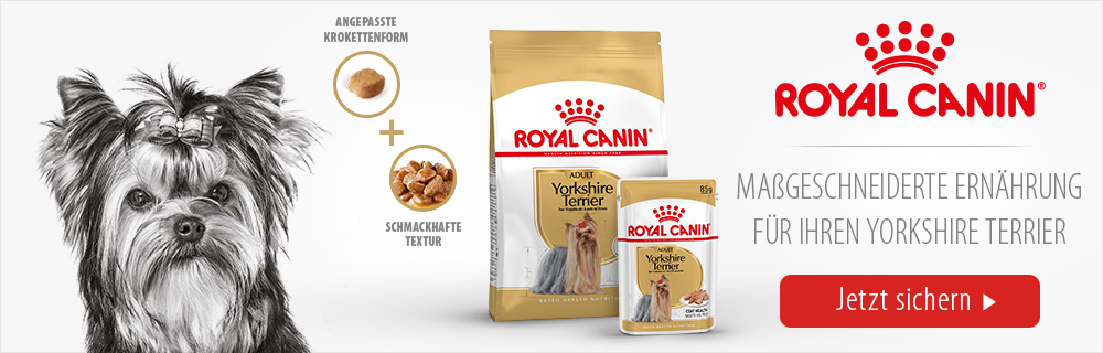 Royal Canin Breed Yorkshire Terrier Trockenfutter