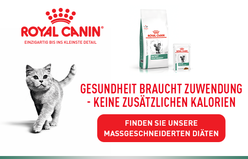 royal canin banner cat overweight