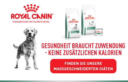 royal canin banner hund overweight