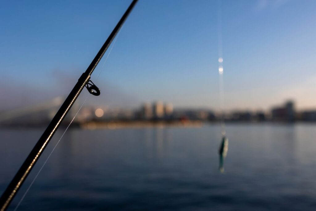 Spüren Fische Schmerzen beim Angeln