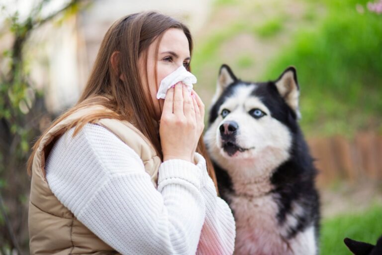 Hundeallergie beim Menschen