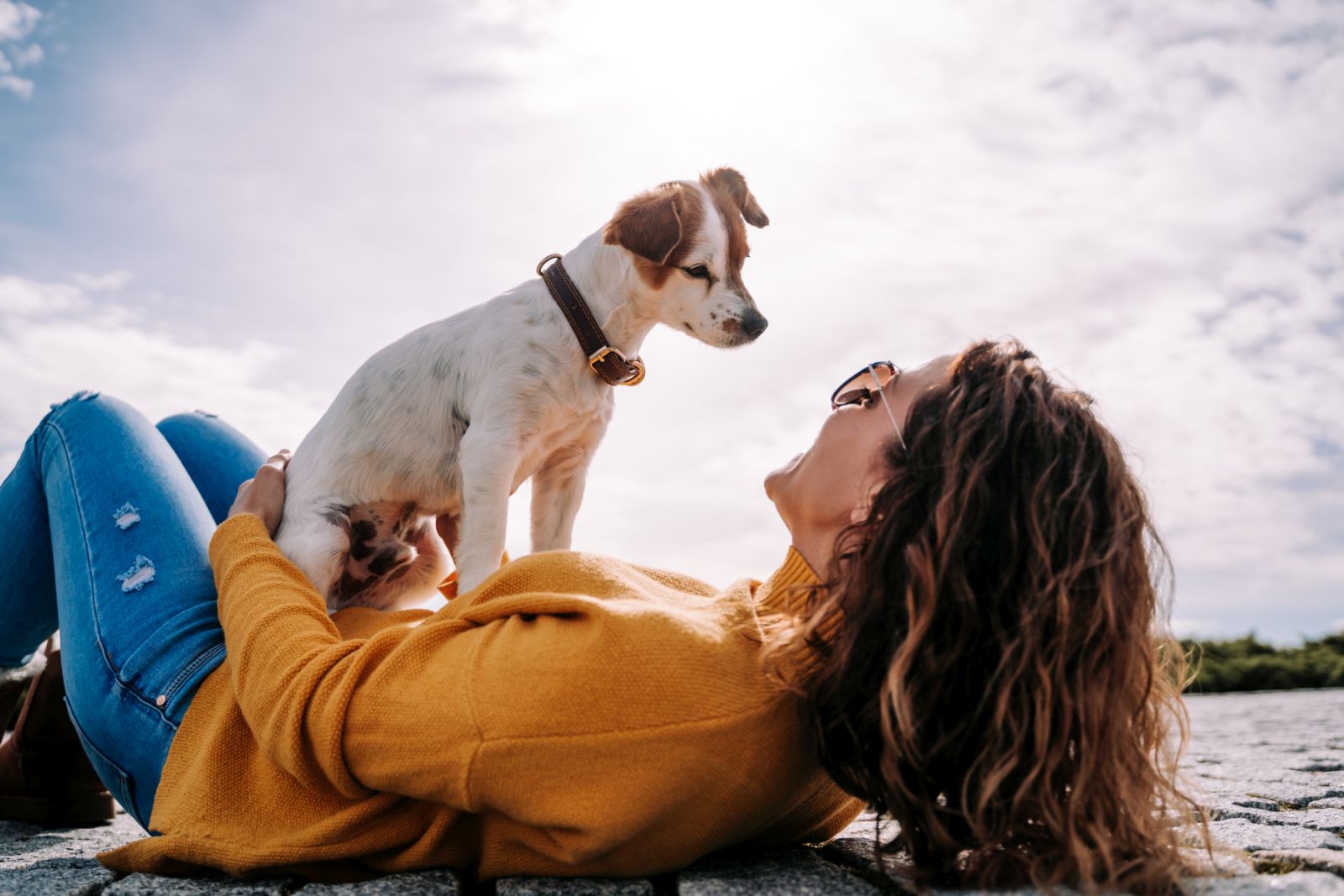 Wie Baue Ich Eine Bindung Zu Meinem Hund Auf www.zooplus.de