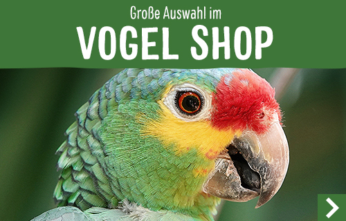 zooplus_shop_promotion_bird