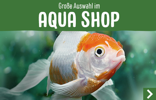 zooplus_shop_promotion_aqua