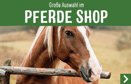 zooplus_shop_promotion_horse